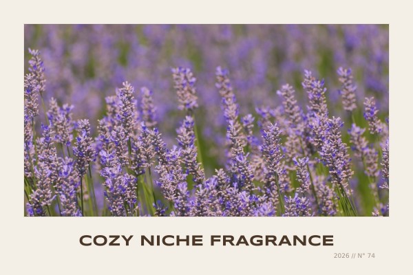 cozy niche fragrance