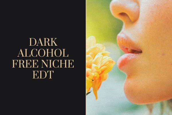 dark alcohol free niche edt
