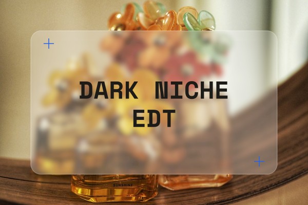 dark niche edt