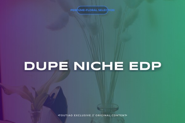 dupe niche edp