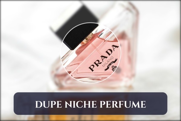 dupe niche perfume