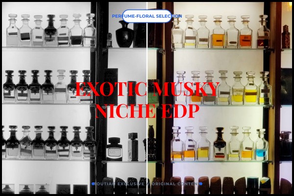 exotic musky niche edp