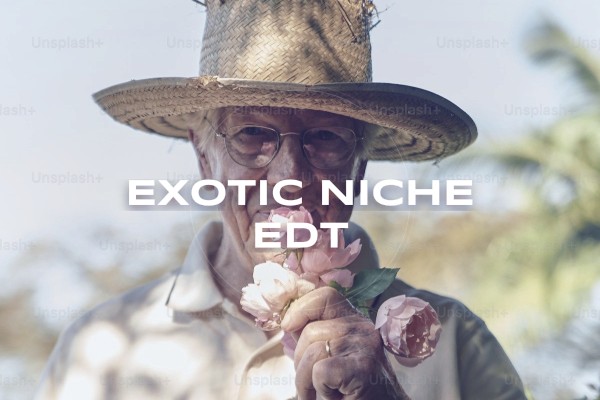 exotic niche edt