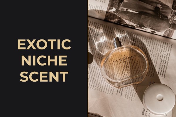 exotic niche scent