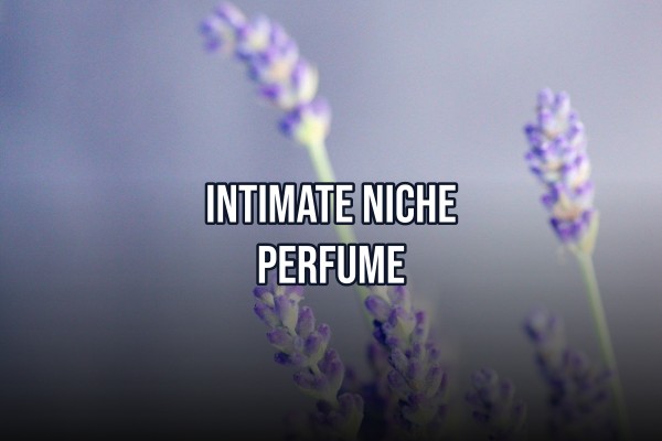 intimate niche perfume