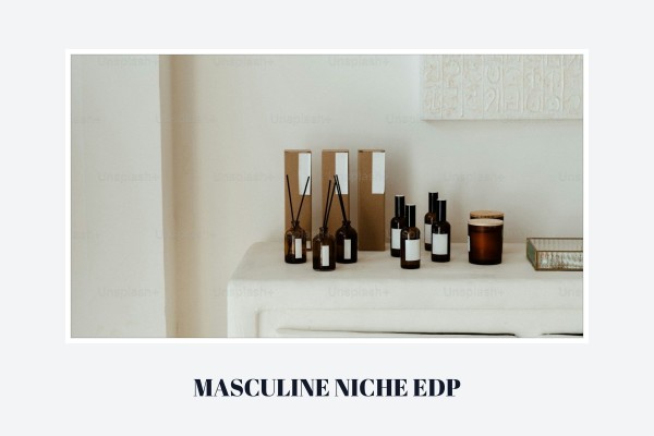 masculine niche edp