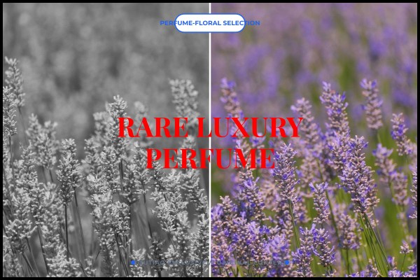 rare luxury perfume