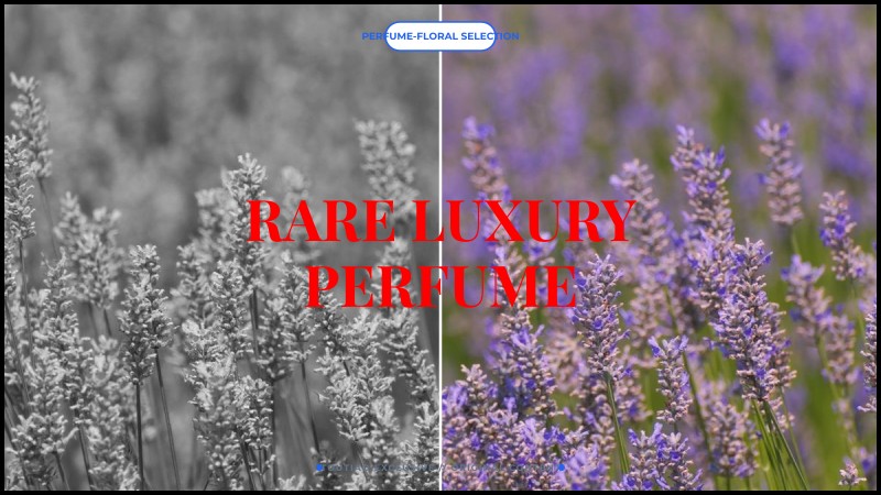 rare luxury perfume