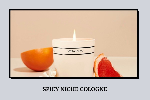 spicy niche cologne
