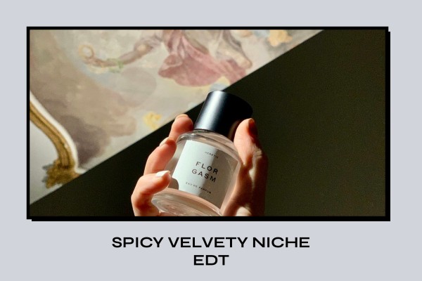 spicy velvety niche edt