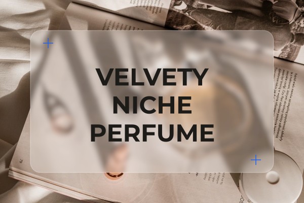 velvety niche perfume