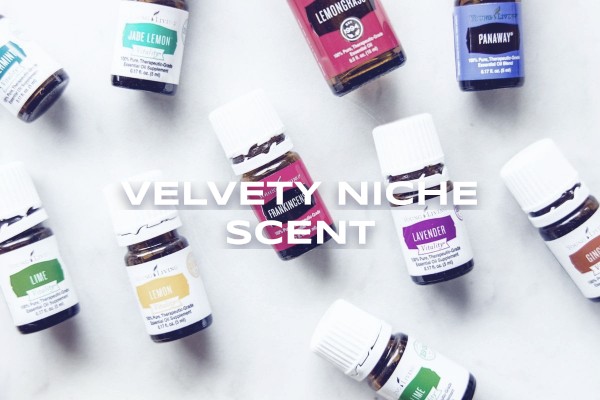 velvety niche scent