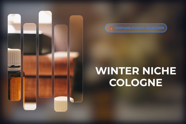 winter niche cologne